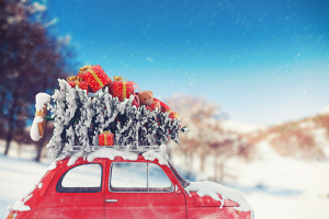Automobile Insurance Indianapolis